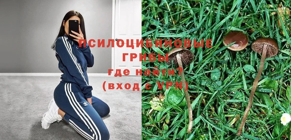 mix Богданович